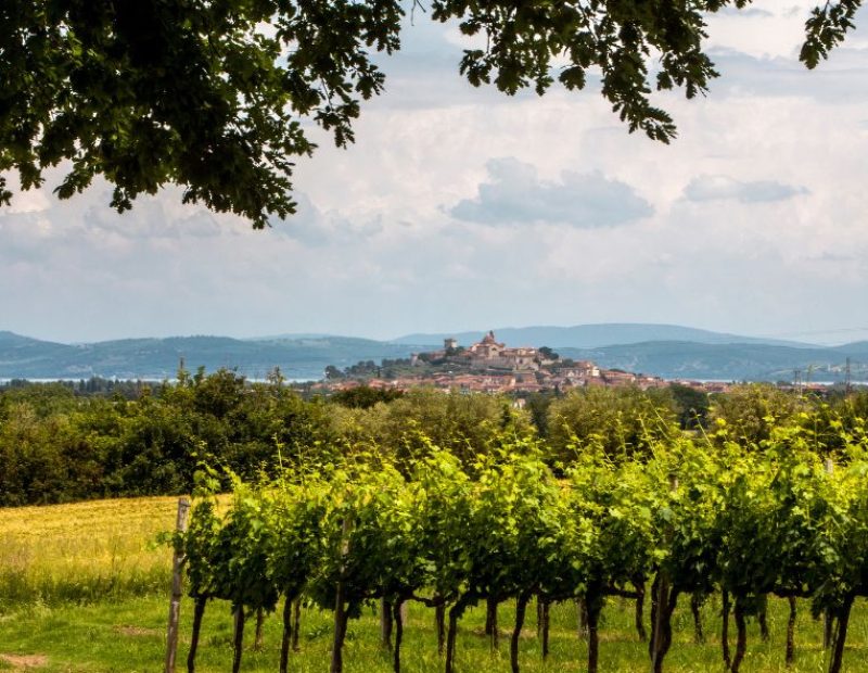 Lago Trasimeno